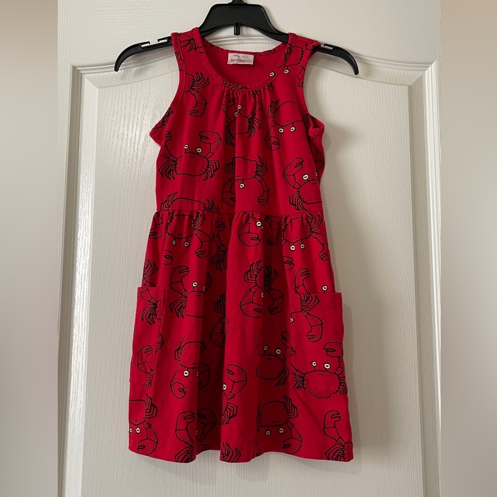 Hanna Andersson summer dress
